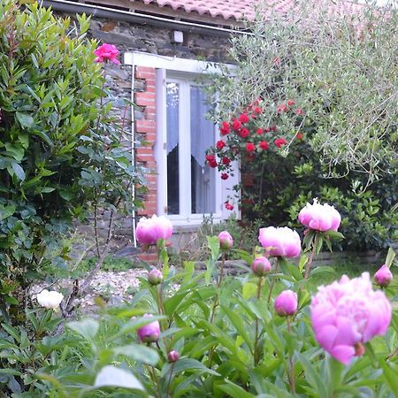 Bed and Breakfast L'Arbre D'Alais Saint-Fulgent Esterno foto