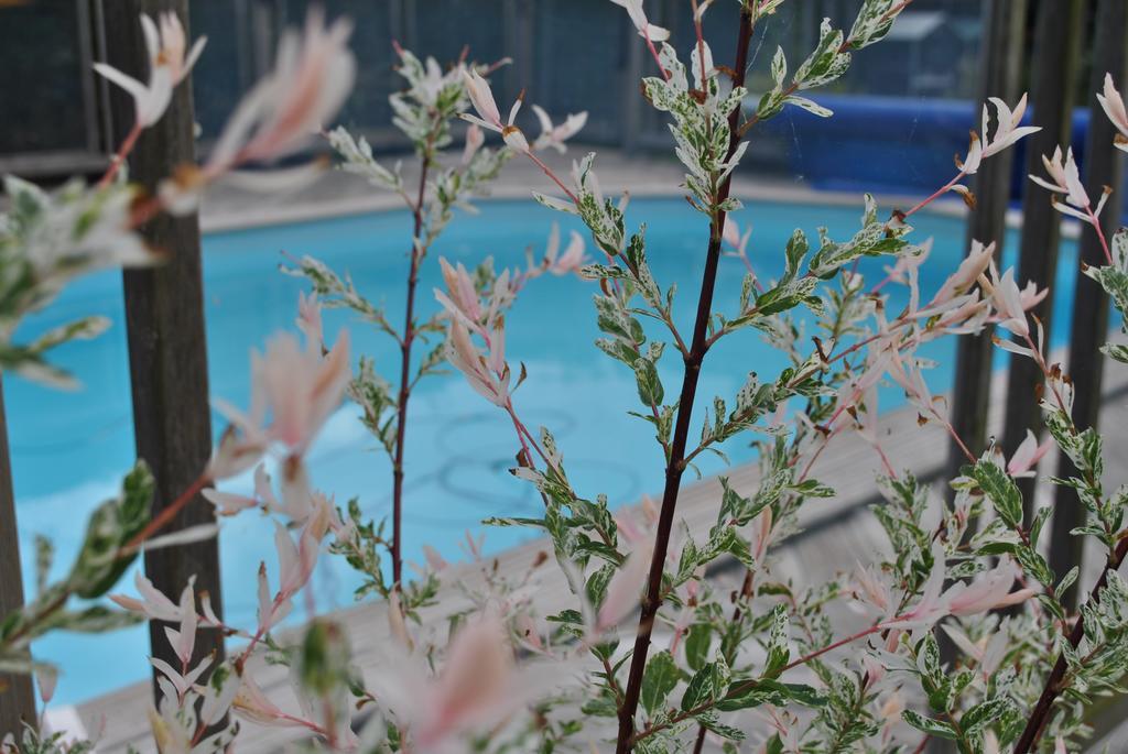 Bed and Breakfast L'Arbre D'Alais Saint-Fulgent Esterno foto